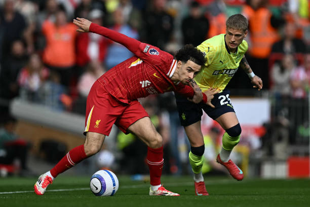 调整的有效 调整的有效